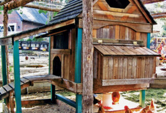 The Playhouse Chicken Coop